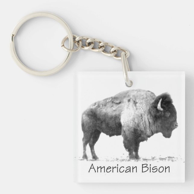 Porte-clés Bison américain (Devant)
