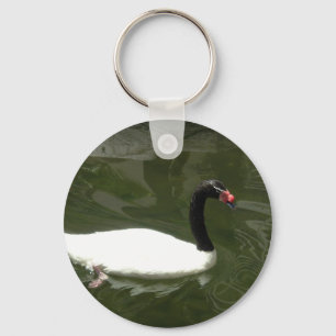Porte-clés Black and White Swan