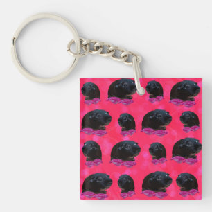 Porte-clés Black Guinée Pigs On Pretty Pink Rose