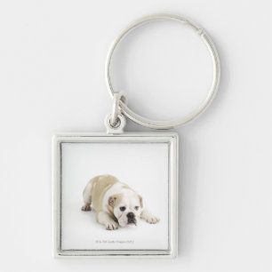 Porte-clés Blanc et bouledogue bronzage