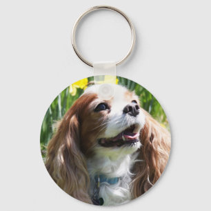 Porte-clés Blenheim Cavalier King Charles Spaniel