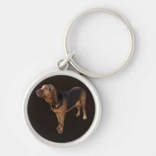 Porte-clés Bloodhound