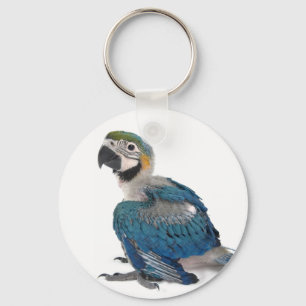 Porte-clés Blue and yellow Macaw