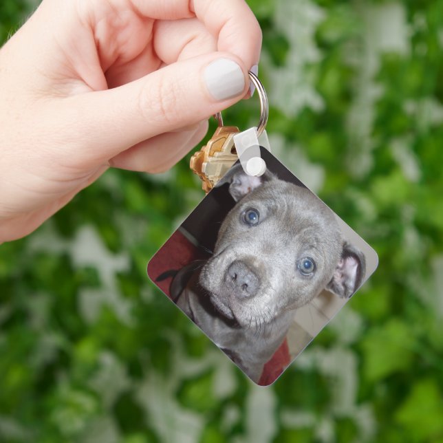 Porte-clés Blue Breed Staffordshire Bull Terrier Puppy (main)
