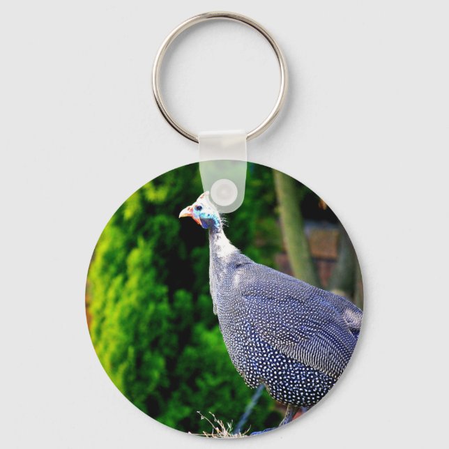 Porte-clés Blue Helmeted Guinea Fowl debout au soleil (Recto)