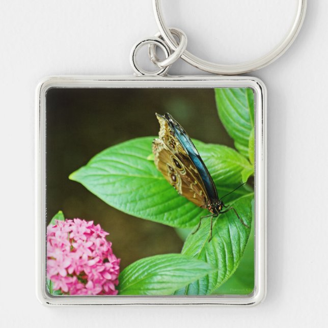 Porte-clés Blue Morpho 143 Porte - clé (Devant)