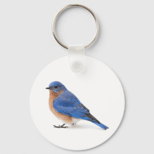 Porte-clés Bluebird