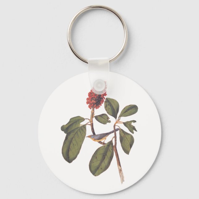 Porte-clés Bonaparte Moucherolle Canada Paruline Audubon Oise (Recto)
