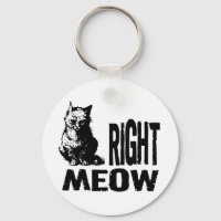 BONJOUR ! Drôle Mal Kitty