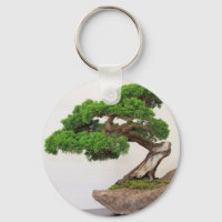 Bonsai arbre - naturel