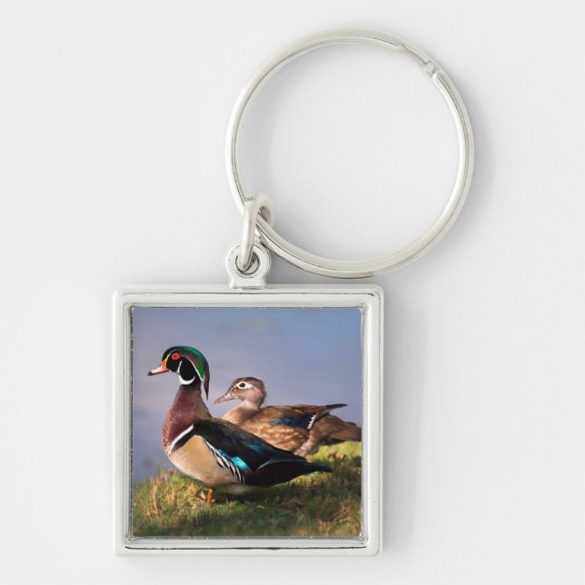 Porte-clés Bord de lac, Canard branchu (Devant)