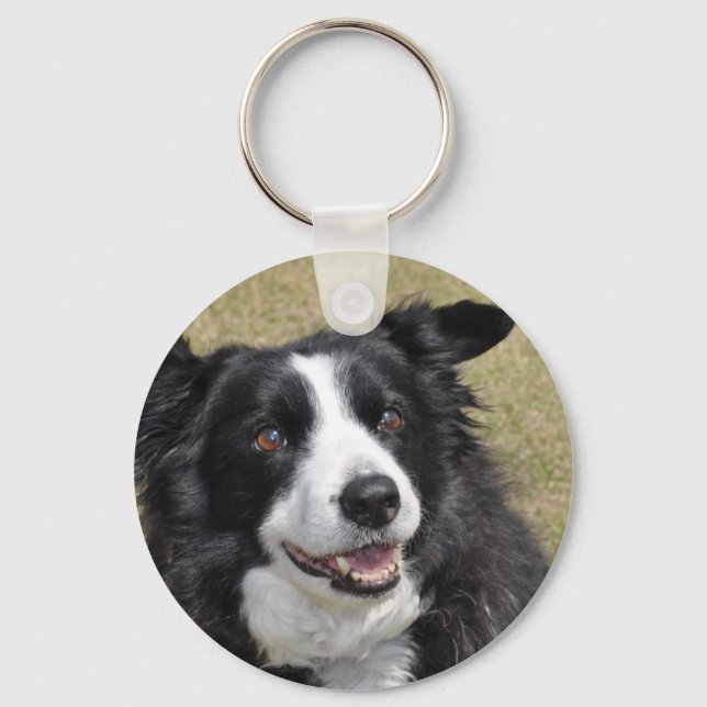 Porte-clés Bordure Collie (Recto)
