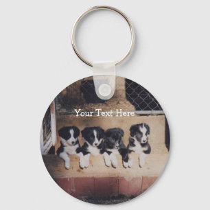 Porte-clés Bordure Collie Chien Chien Chien Porte - clé