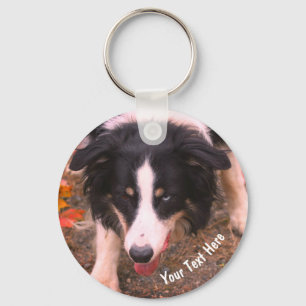 Porte-clés Bordure Collie Stare Chien Personnalisé