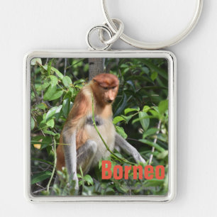 Porte-clés Borneo Proboscis Monkey Keychain