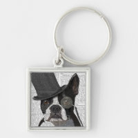 Boston Terrier, Formal Hound et Casquette