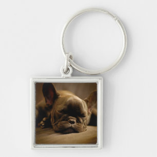 Porte-clés Bouledogue français somnolent