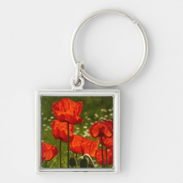 Porte-clés Bright Poppies Close Up Photo (Devant)