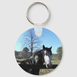 Porte-clés Brown &blanc, Cheval Peint, ciel bleu vif
