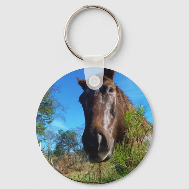 Porte-clés Brown et crème Couleur Cheval bleu ciel (Recto)