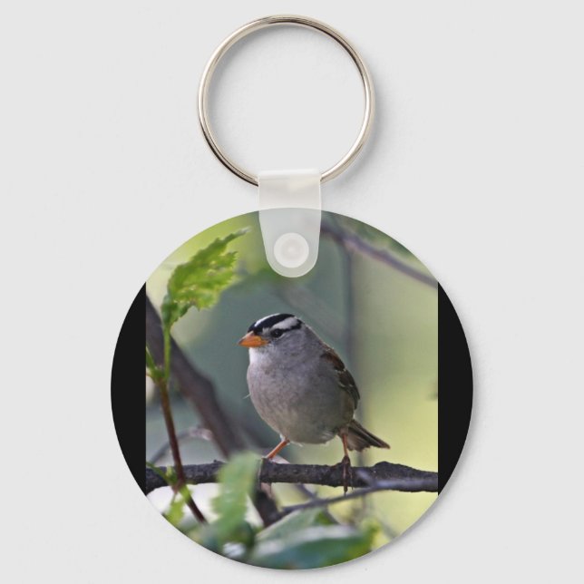 Porte-clés Bruant à couronne blanche (Recto)