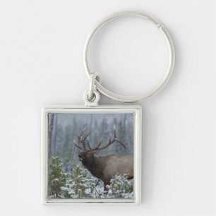 Porte-clés Bull Elk dans l'appel de neige, bourdonnement, Yel