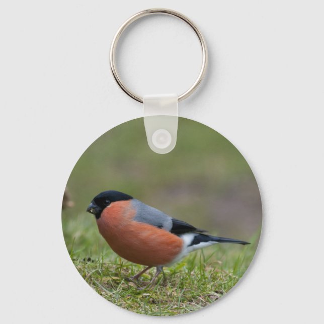 Porte-clés Bullfinch British Bird Porte - clé (Recto)