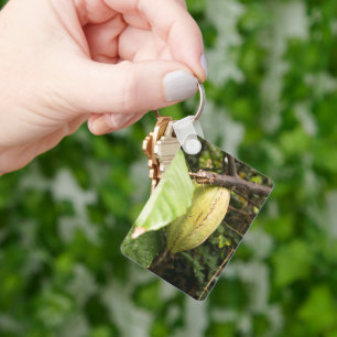 Porte-clés cabosse de cacao
