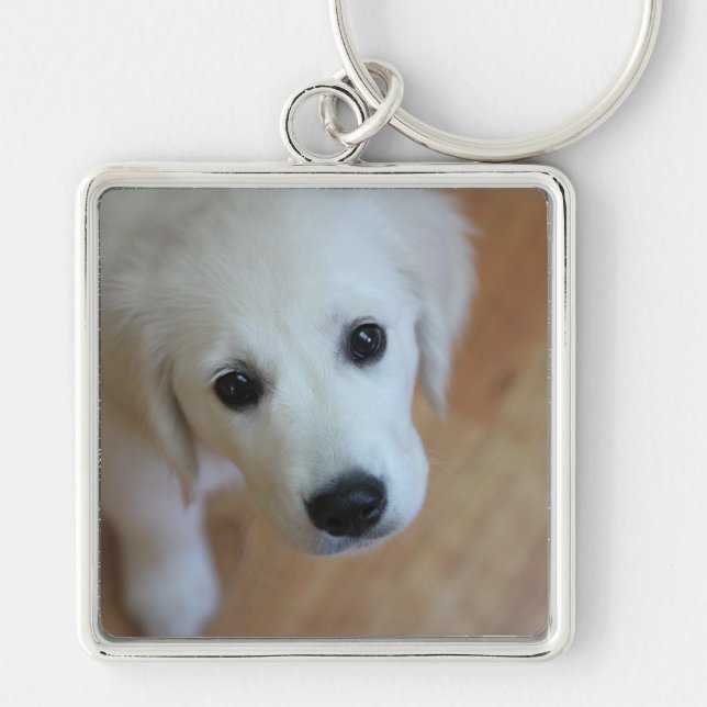Porte-clés Cadeau pour amoureux des animaux (Devant)