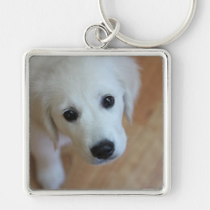 Porte-clés Cadeau pour des amoureux des animaux