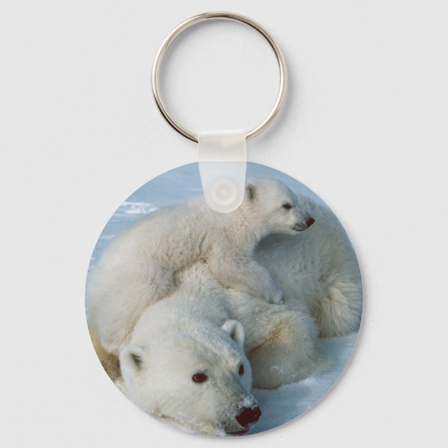 Porte-clés Cadeaux aux amateurs d'ours polaires (Recto)
