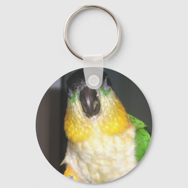 Porte-clés Caique (Recto)