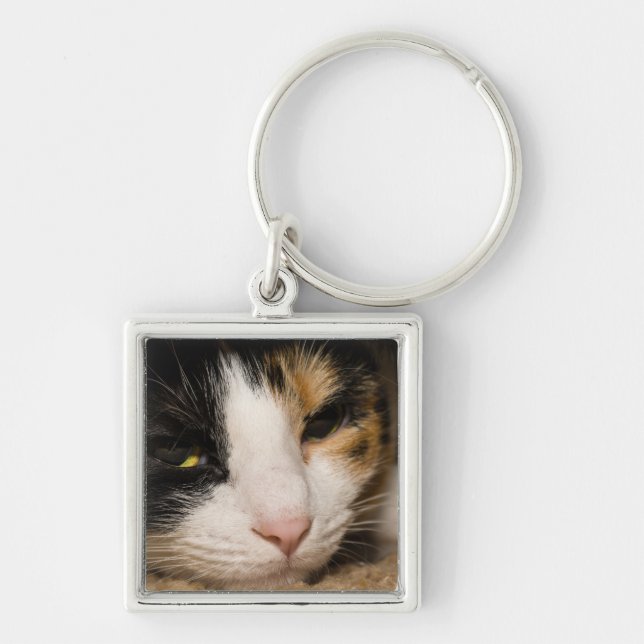 Porte-clés Calico Face (Devant)