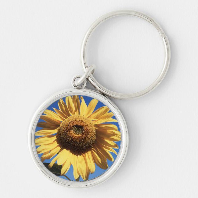 Porte-clés Californie, A Mammoth Sunflower (Helianthus) 3 (Devant)
