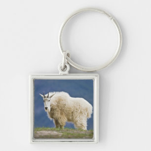 Porte-clés Canada, Alberta, Parc national de Jasper,