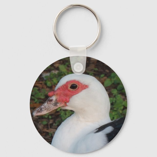 Porte-clés Canard de muscovy noir et blanc Hen (Recto)