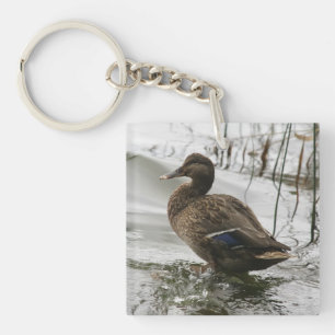 Porte-clés Canard gris sur la nuit du lac