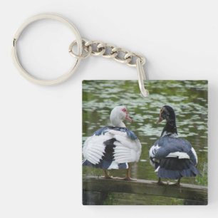 Porte-clés Canards Muscaves Assis Sur Un Porte - clé D'Orneme
