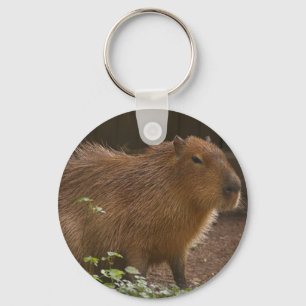 Porte-clés Capybara