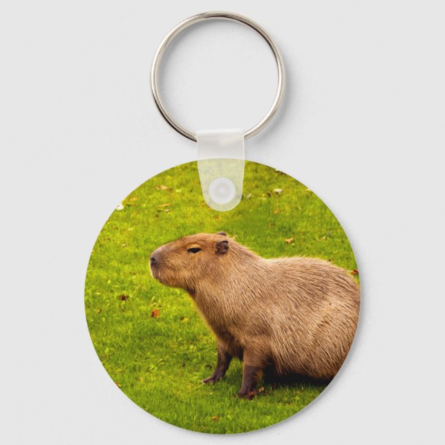 Porte-clés Capybara (Recto)