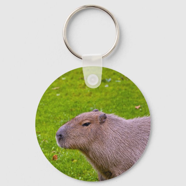 Porte-clés Capybara Extraordinaire (Recto)