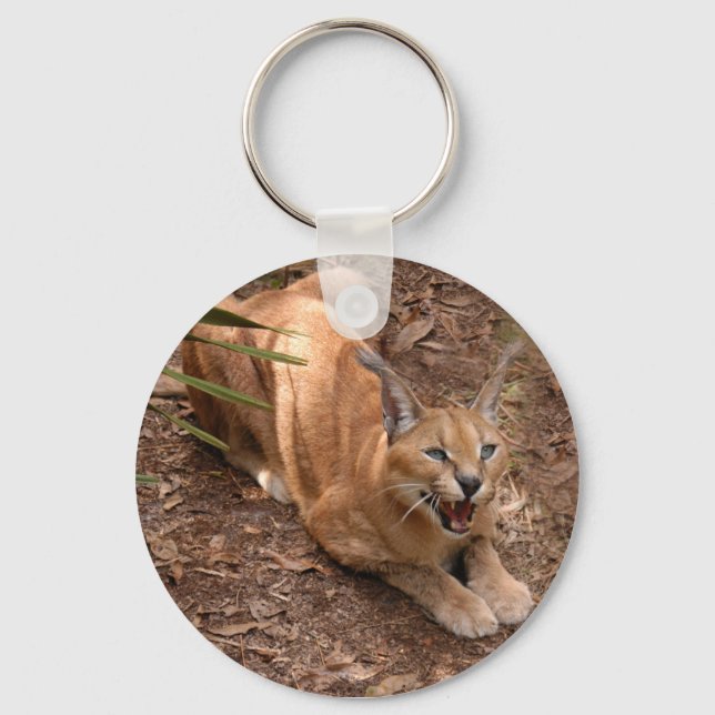Porte-clés Caracal Lynx Porte - clé (Recto)