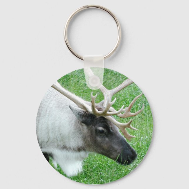 Porte-clés Caribou (Recto)