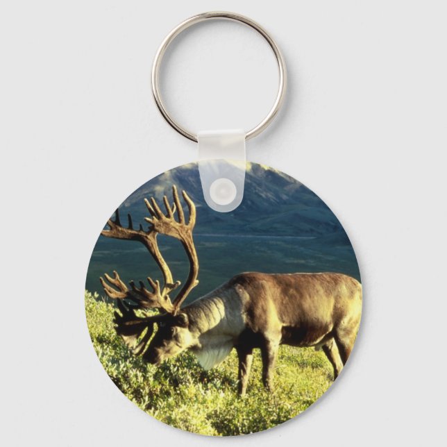 Porte-clés Caribou de l'Alaska (Recto)