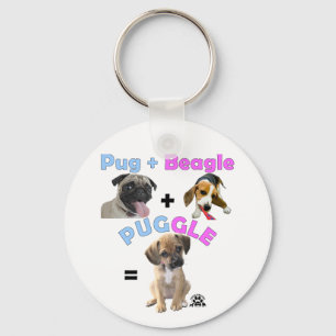 Porte-clés Carlin plus le porte - clé de beagle