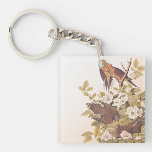 Porte-clés Carolina Pigeon ou Dove en deuil (Devant)