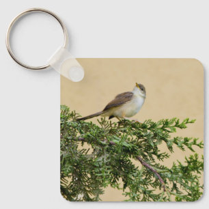 Porte-clés Carte postale Sparrow