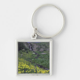 Porte-clés Cascade et fleurs sauvages dans une prairie alpine