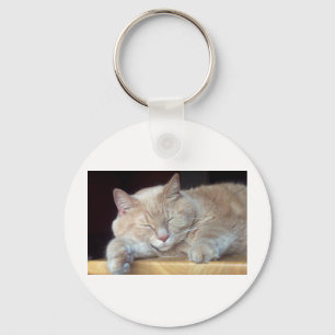 PORTE-CLÉS CAT SOMNOLENT MIGNON