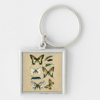 Porte-clés Caterpiliers, papillons et papillons